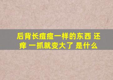 后背长痘痘一样的东西 还痒 一抓就变大了 是什么